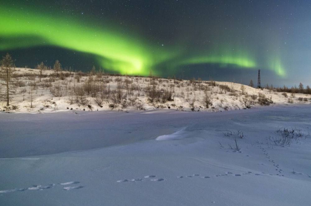 �������� �� ��������� ������ �������, ������� �������� ���� ��������� �� �������� �������, ���� ��������� ������������ ������������ ��� ���������� ��������� �������