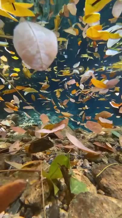 ����� ��������� ������� ������� �� ������� �������� ������ �� ��������