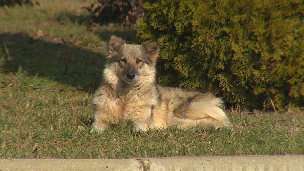 � ������������� �������� ������ ����� ���� �������� �� �����