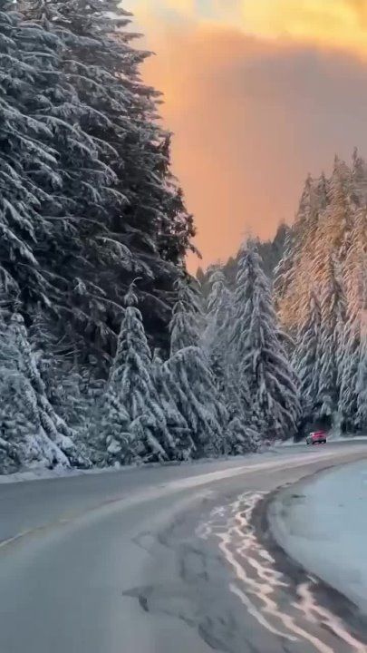 ������������� �� ����� ��� ������, ������� ����� � ������� ���������� �� ��� � �����