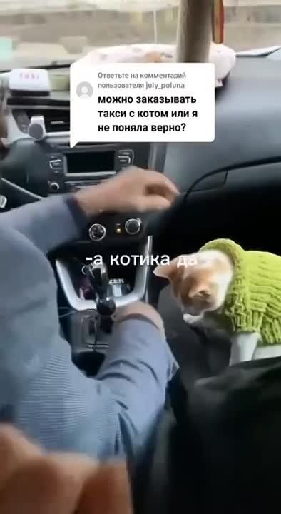 ����������� ����-����� ����� ����� ���������