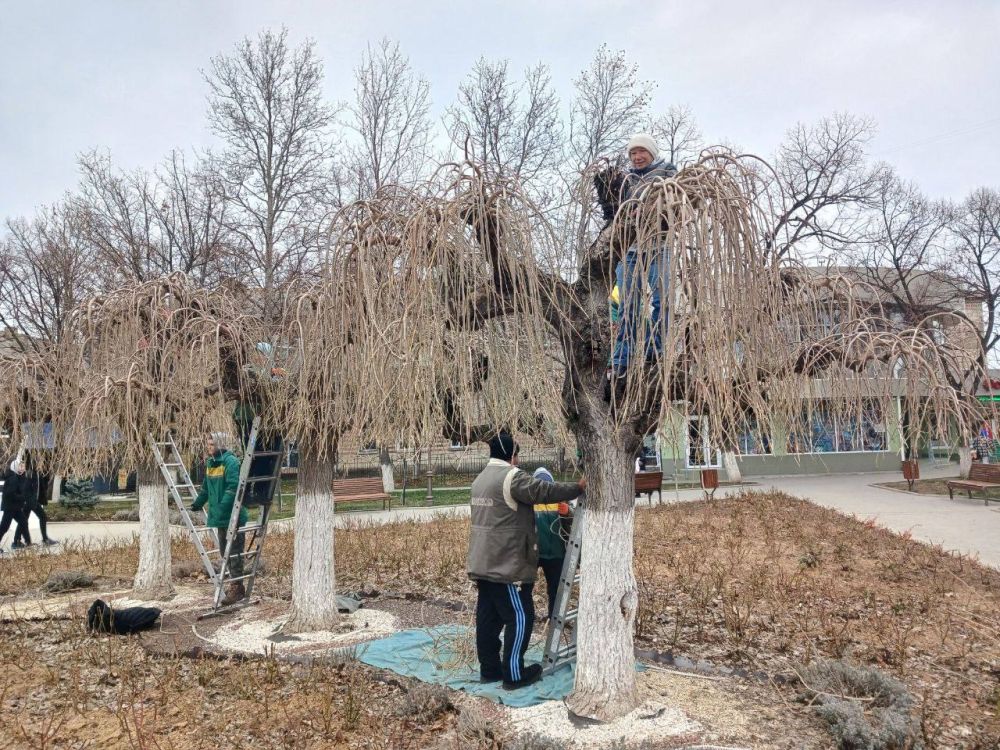 ����� ���������� ��������� ��������� �������� �����