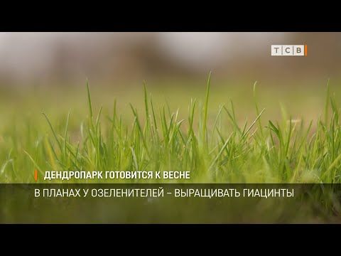 � ����������� ��������� � ������ ������. ����� ����� �������� ������������ ���� � ����� ����� ����� �������� � ����������� ���� ������, �������� ���������� ��������