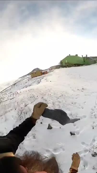 ����� � �������� � ���������� ��������� �������� ����� ����������