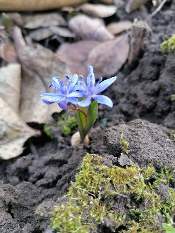 �������� ���� �� �������