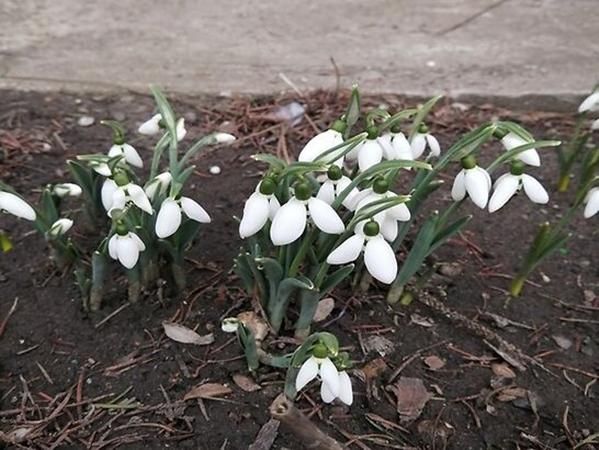 ���������. ������� ����������� ����������� ����, ����������� ������, � ������ � ����� ������� ����������