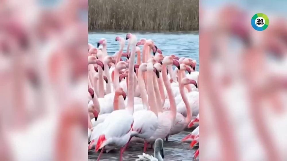 ������� �������� � ���� ������ � ����� ��������