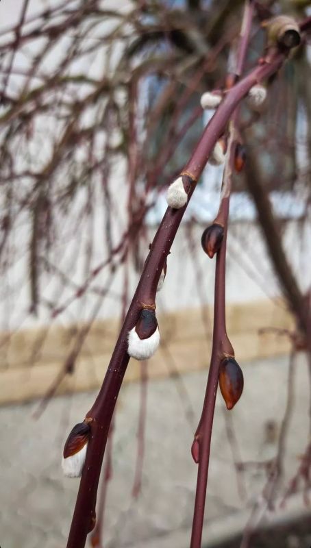 � �������� �����!. ���� ������� ��������