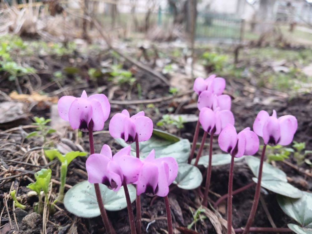 ������� ��������� ��������� � ����� ����, ���� �� +15��, ������� �� ������������