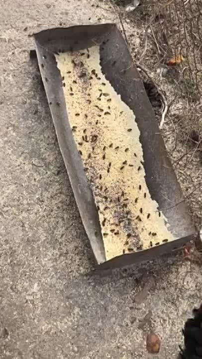 �������� ��� ��������� � ��������� �� ������� ������