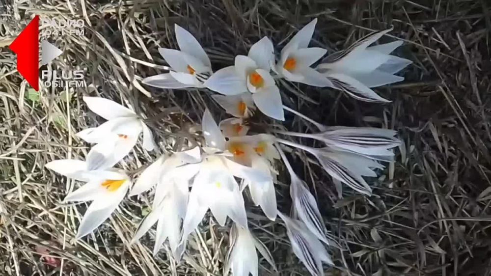 ����� ��������. ����� ������ �� ����� ����������. � ������� ����� ������ �������, ��������, ����������� � ������. ���� ����� � ����� ������� ���������� �������� ����