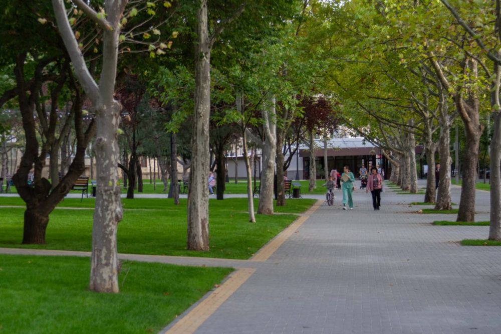 �������� � ���, ����� ����� �� ����� ������� � ���� �������� � �������