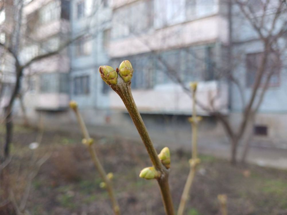 �� ��������� 24 �������, � ����� ��� ������� �� ����