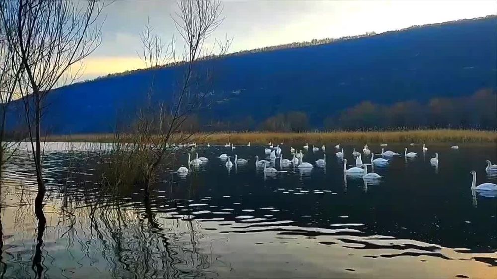 ������. ��������� �����. ���� �������