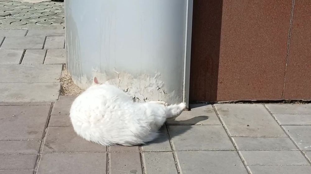 �������� ����. �� ����� - 4 ���