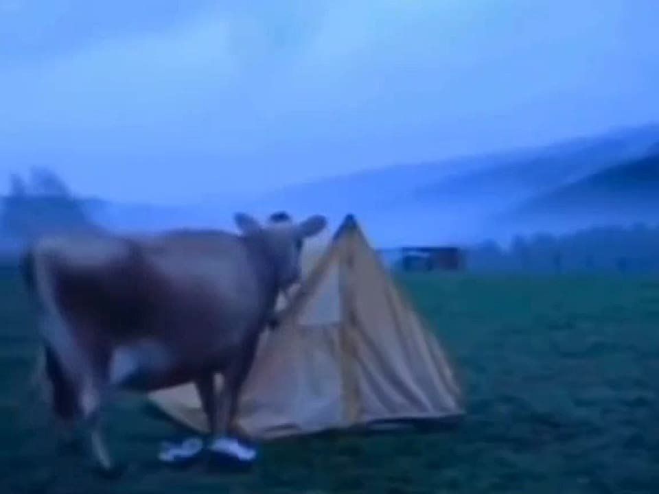 ����, ��� ���� ����� ������ ������ ���, �� ������� �� ����� ����