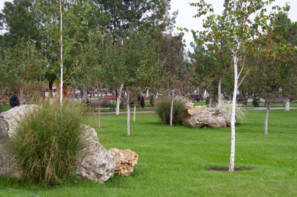 ����� �� ������� ������ ��� ��, ���� �� ����