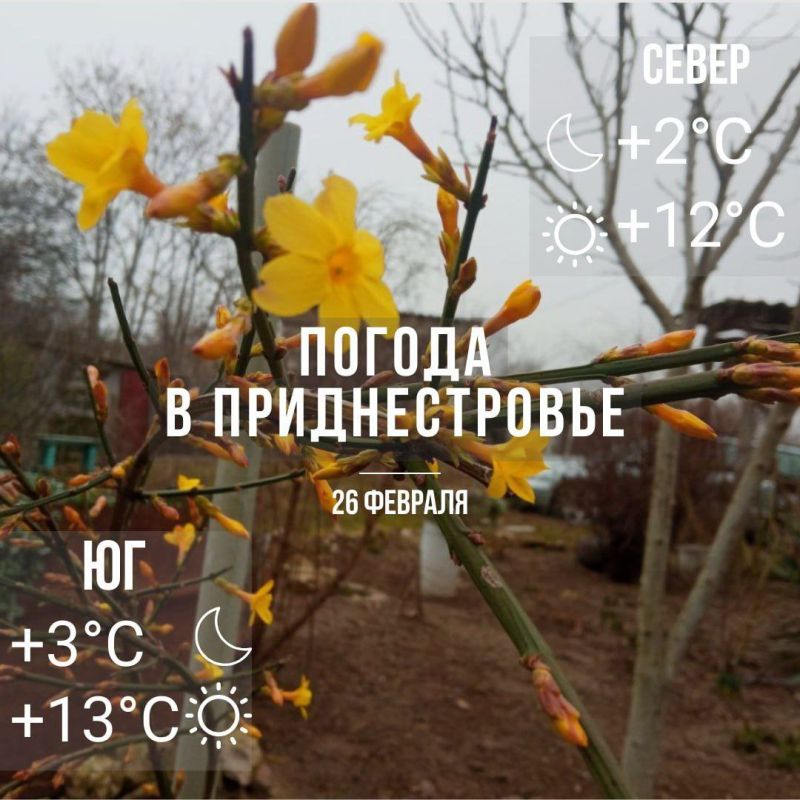 ������� � �� +13�C. ��� �������