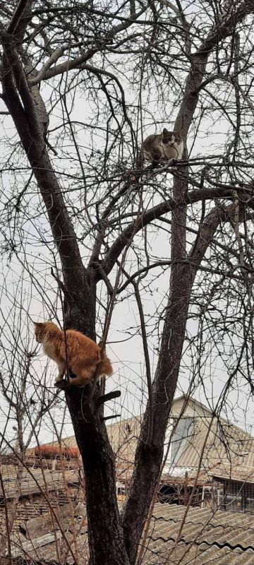 ���� ���������, �� ����� ����� �����!