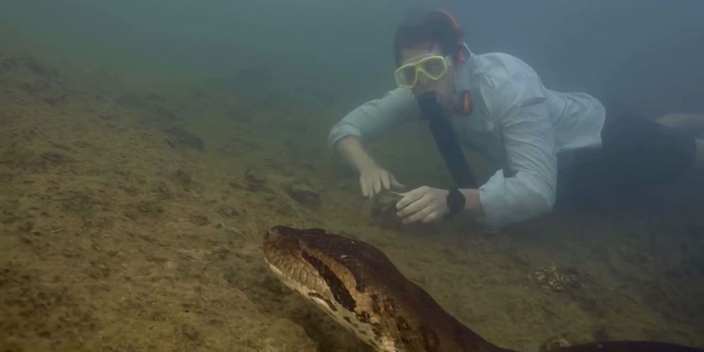 ����� ��� ���������� �������� ���������� ������ � �������� ��������