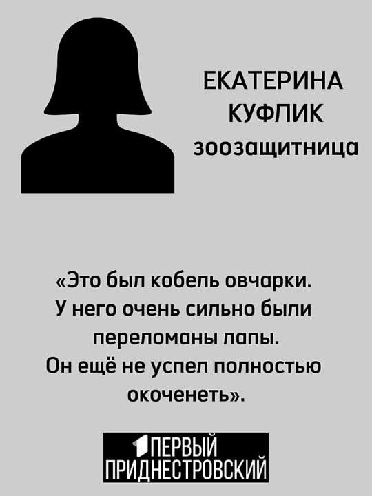 ���� ��� ������ �������. � ���� �� ������� ���� ���������� ����, �� ��� �� ����� ��������� ����������