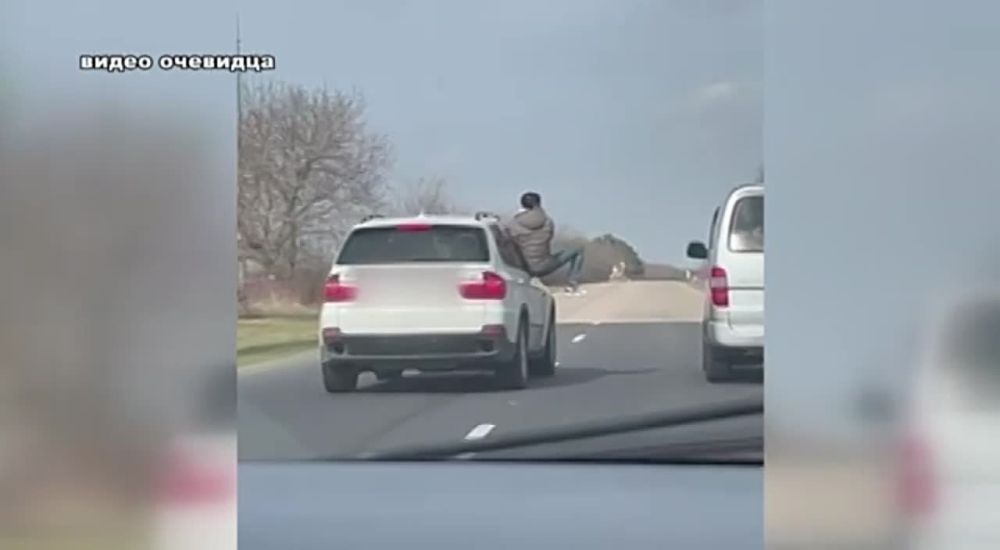 �������� � �������� ���» �������� �����