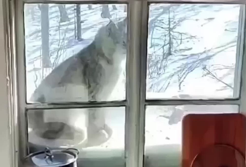 �� �������� ��������� ���� ������ � ����� � ���������� �����������, ����� ����������, ��� �� ��� � ���� ����������!