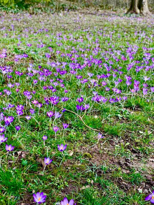 ��������� �����. �������! �� ����� 4 ���