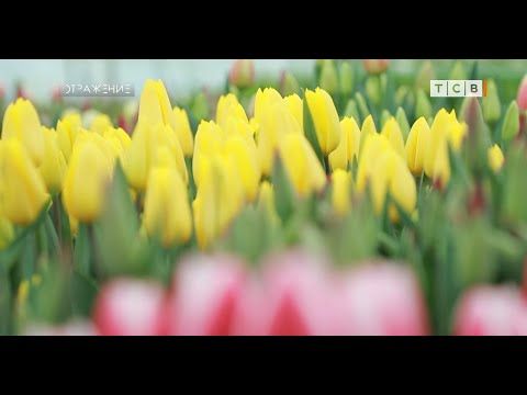 14-������ �������� � ������ ��������� 2 �������� ������, �������� � ������ 35 000 ���������. ������� ���� ������, �������...