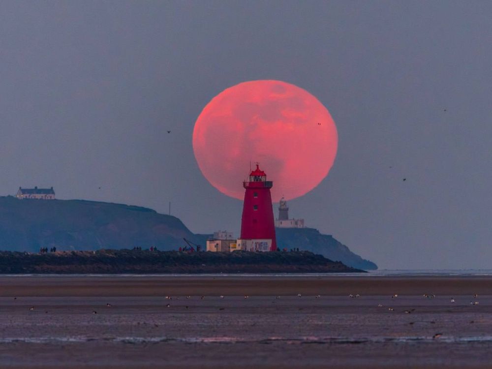 ������ ������ ���� ��� ������� � ��������