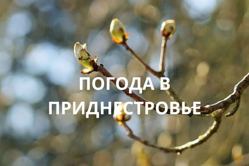 26 ������� ��������� ���������� ����������, ��� �������