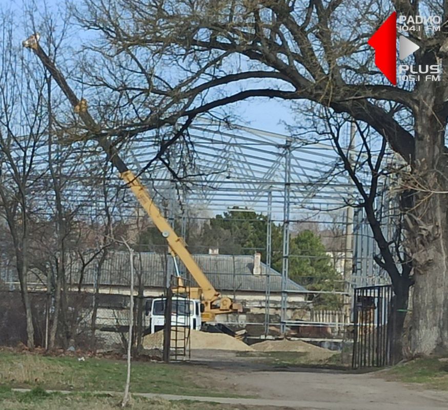 � ���������� ������������ ������������� ����������� ���������