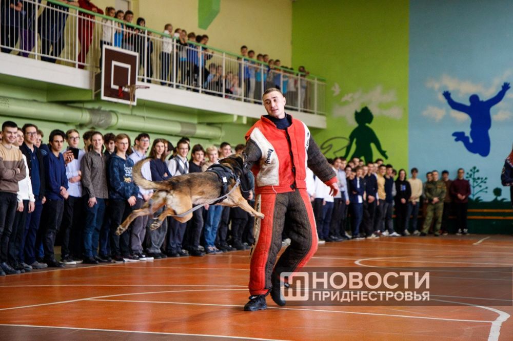 ������������� ����������� �� ������� ����������, ������-����������� � ���������� ���������� ������� ��� ���������� ������������� ��������