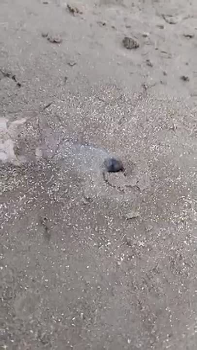 � ������ �� ��� ���� ����� ���