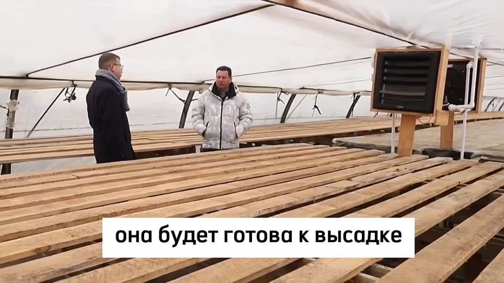 ��������� ������ � ������, ���������, ����� ����� ������. ���� ��������, ���������...�