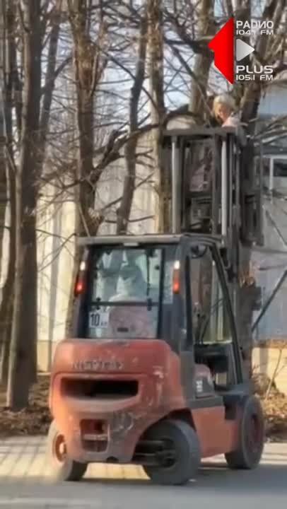 � ���������� ������ ����