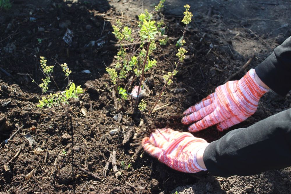 �������� ������ � ��������������� �������