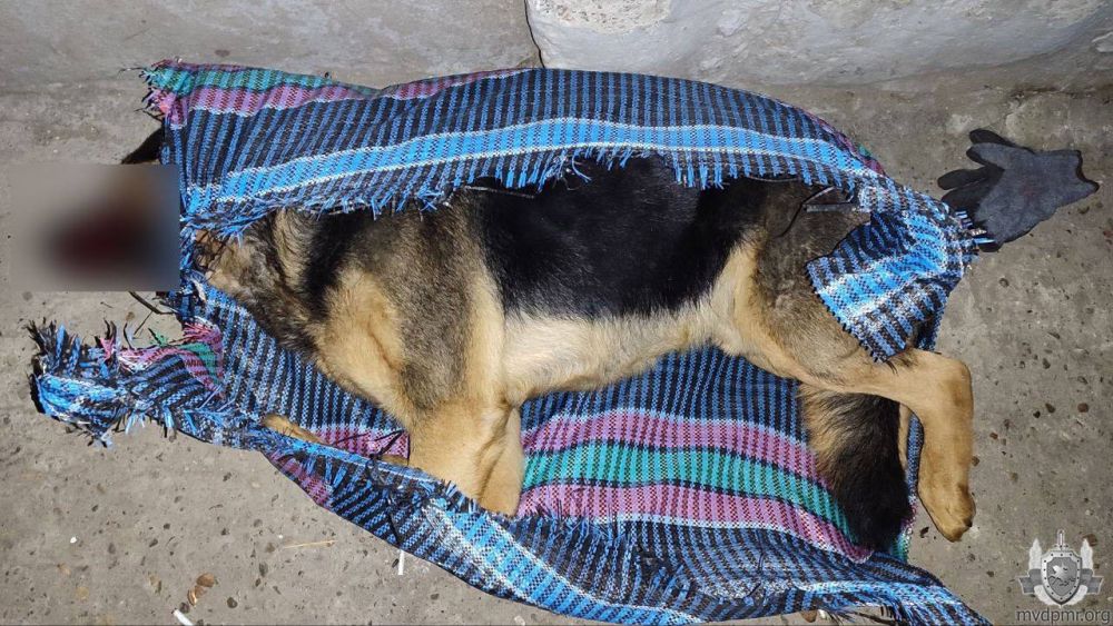 ����� ����, ��� ������� ������� � ����������� � �������