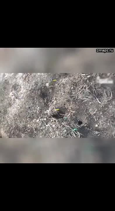 � ����� � ������� �� ����������� �����������