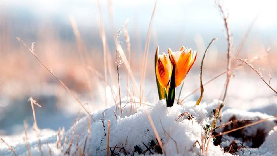 � �������� ��������� ������ (7-8 �����) � ������������� ����������