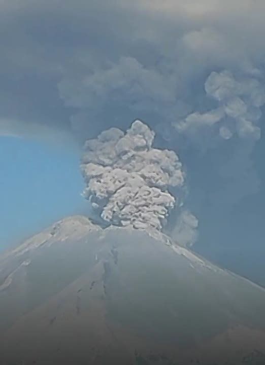 � ������� �������� ���������� ������� ������������� (��� ����� �������� ��� ����)