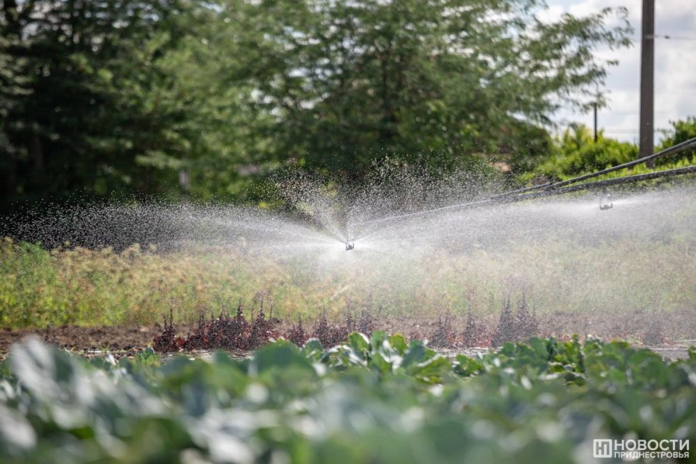 67 �������� ������� ������ � ������ ��������� ������ � �������������