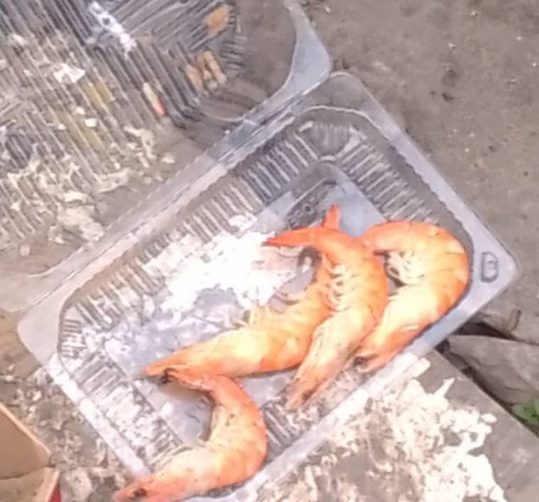 � ������������� ���� ����� � ������� ������� ����� ������ ������������ ����������