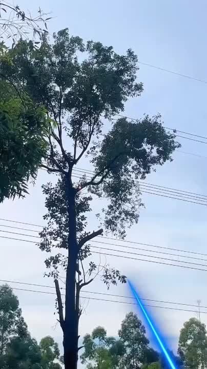 ����� �� �������� ����� �����