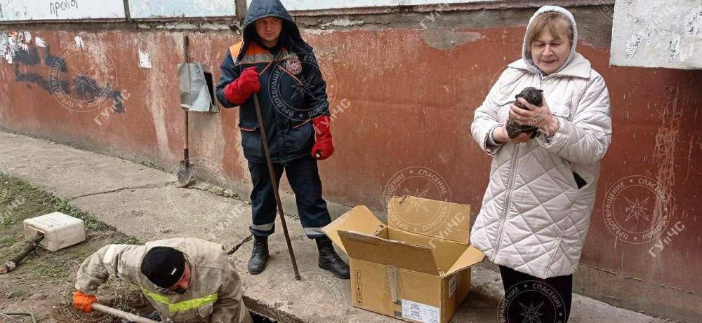 ������ �����. ���� 29 ������� � ��������� ���������� �� ������� ���������� ������������� �������. ����������� ����������, ��� �� ����� ��������� ��� ���������� ������ �� ����� ��� ��������� ���� ������ ��������� �������