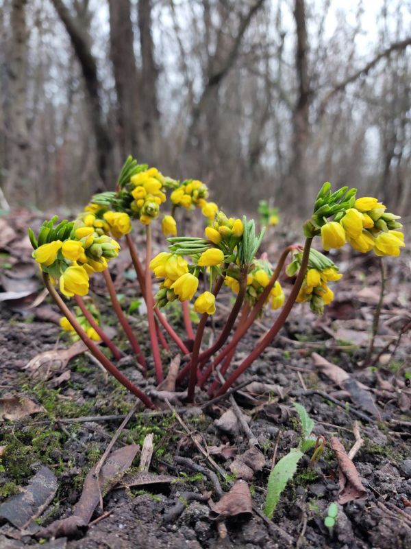 ����� � ��������. ������ ������ � �������������