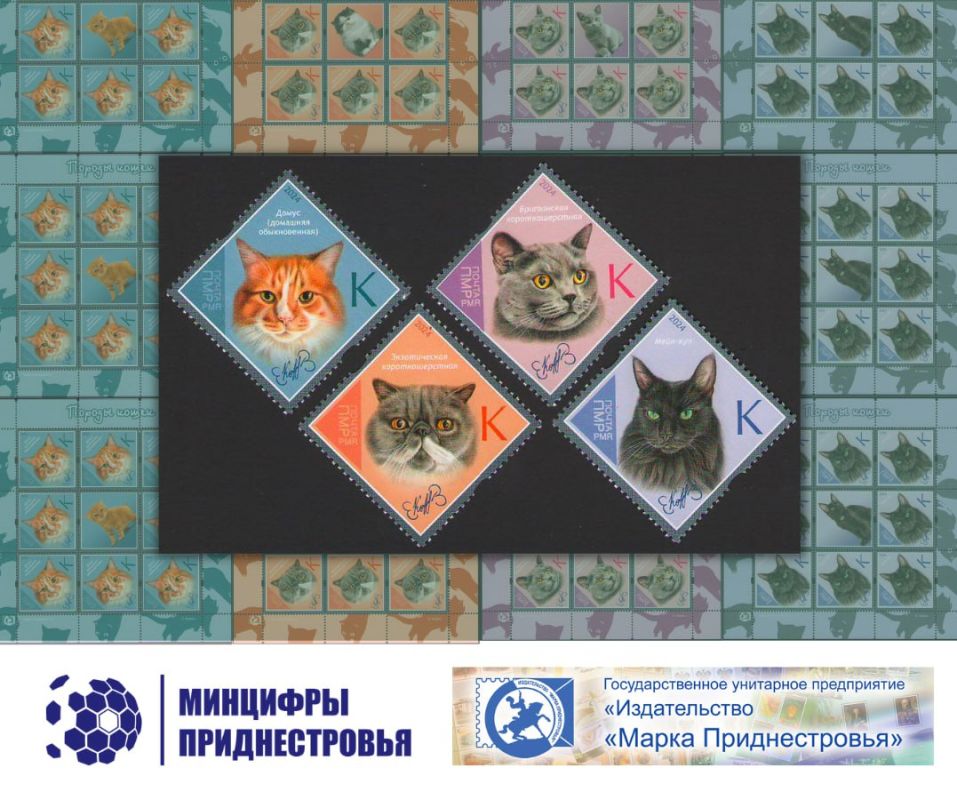 � �������, 2 �����, ��������� ����������� ������� ����� ����� �������� ����� ������� �����