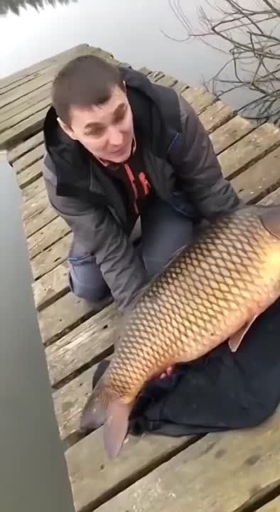 ������� � �������!�