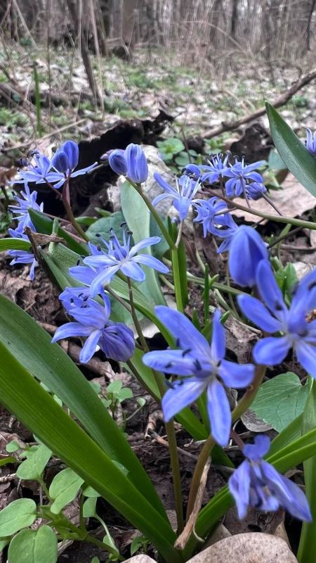 � ���� � ������� ��� ����� ������� � ����������