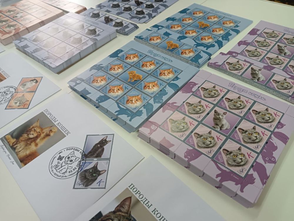 ������� � ������ ������� ��������������� ������������� ������ ���������� ������� ����� ����� �������� ����� ������� ����� �� ���������� ��� �����